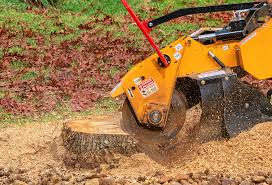 Best Tree and Shrub Care  in Denton, MD