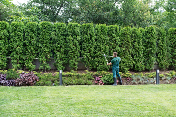 Best Soil Testing and Treatment  in Denton, MD